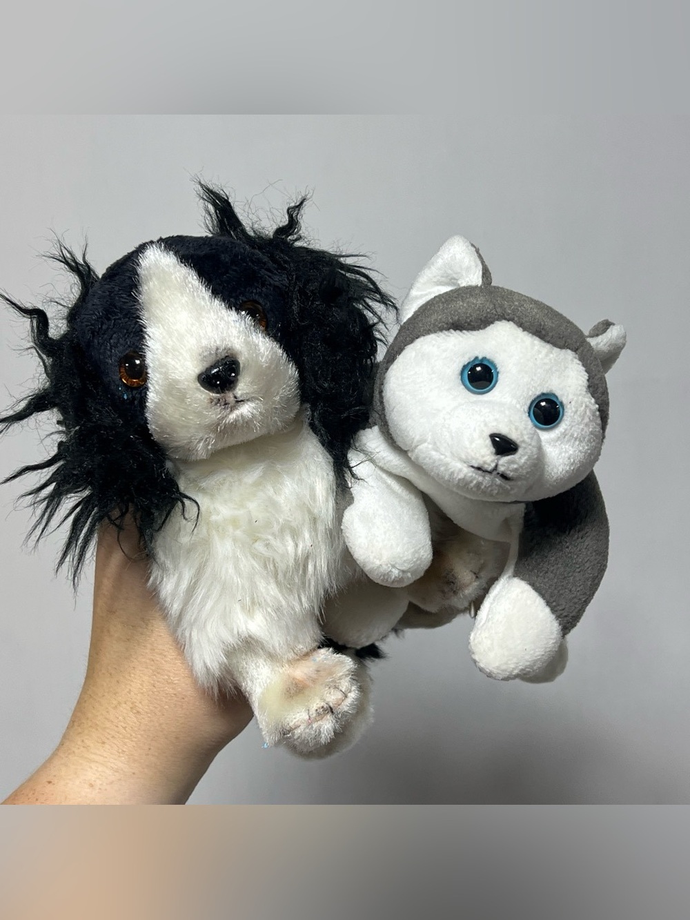 Beanie Baby Dog Lot